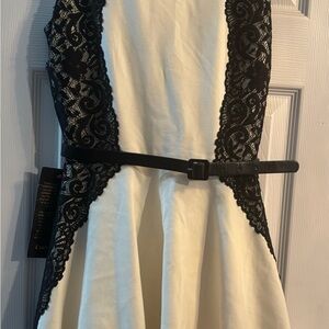 Bebe Lace Fit-and-Flare Dress (XS), NWT